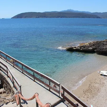 Oleandro Capoliveri (Isola d'Elba)