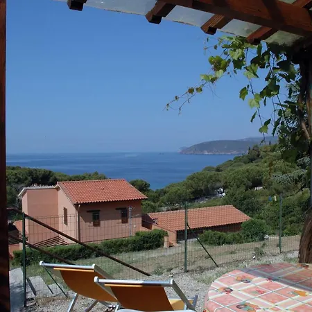 Oleandro Villa *
